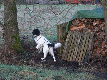 Bilder-Tango07 001