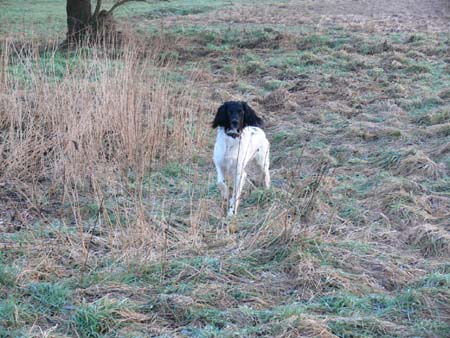 Bilder-Tango07 004