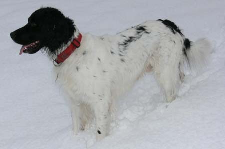Bilder-Tango07 024
