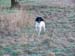 Bilder-Tango07 004