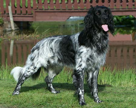 Kopie von 15. Sept. 2007